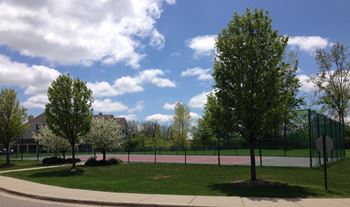 Tennis & basketball court